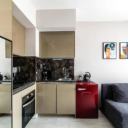 Apartment Fully Furnished Flat In Kagithane